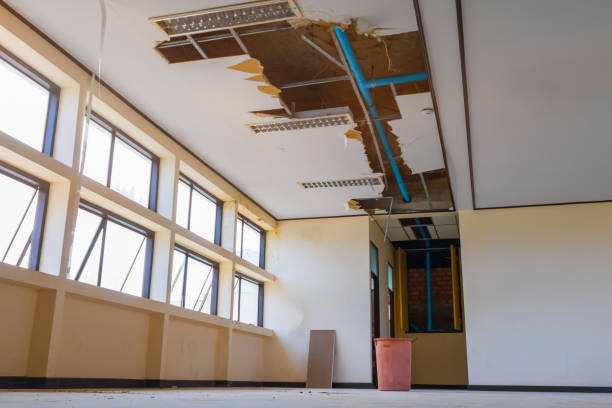 Best Local water damage restoration  in Glenside, PA