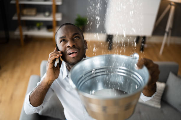 Best Professional water damage repair  in Glenside, PA