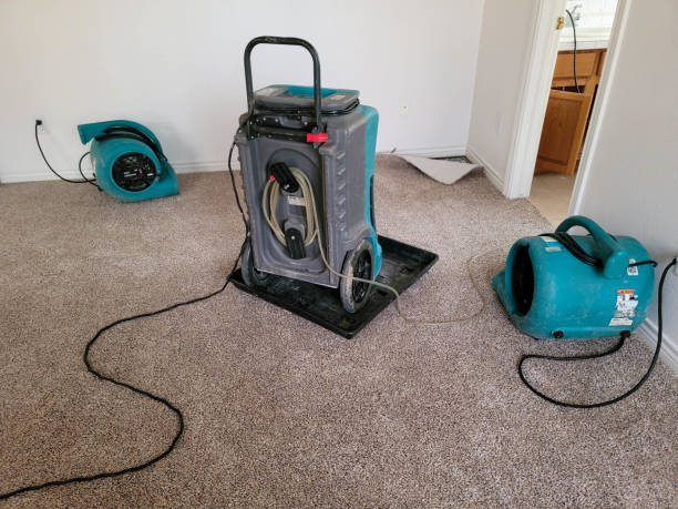Best 24/7 water damage repair  in Glenside, PA