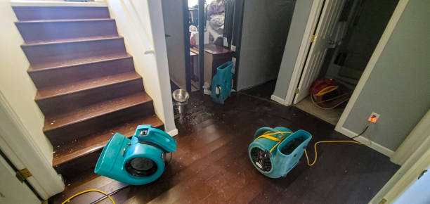 Best Water damage restoration near me  in Glenside, PA