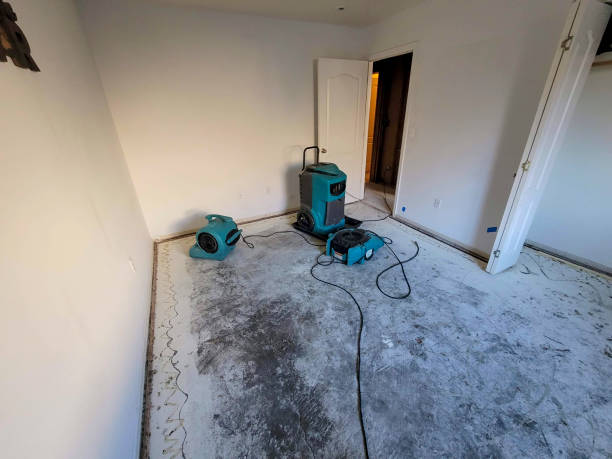 Best Sewage cleanup and water damage restoration  in Glenside, PA
