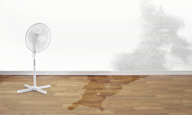 Best Water damage restoration insurance claims  in Glenside, PA
