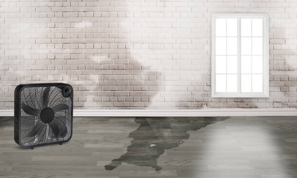 Best Commercial water damage restoration  in Glenside, PA