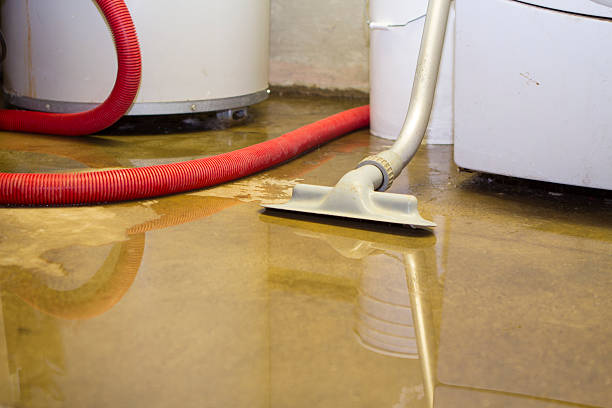 Best 24/7 water damage repair  in Glenside, PA
