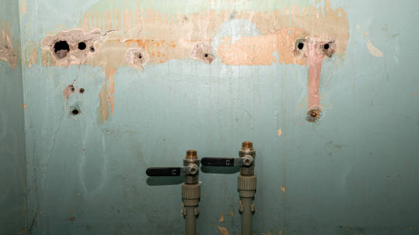 Best 24-hour water damage restoration  in Glenside, PA