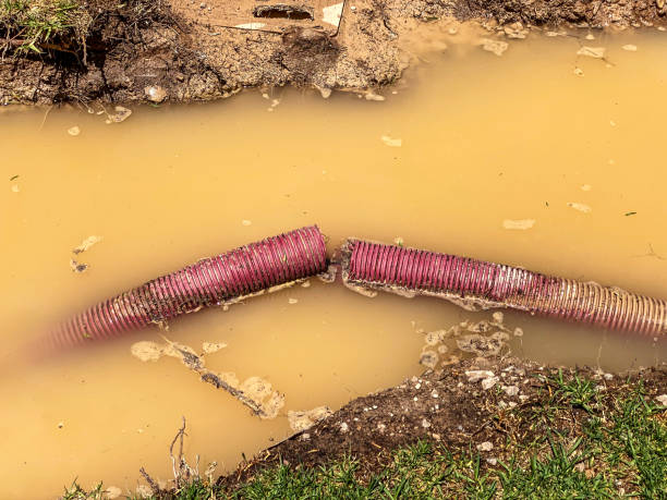 Best Carpet water damage restoration  in Glenside, PA