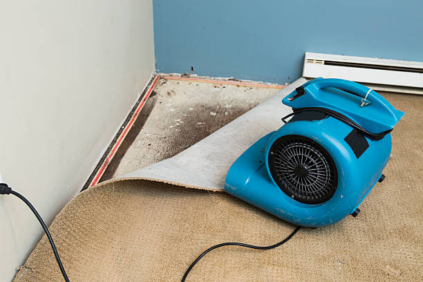 Best Flood damage cleanup  in Glenside, PA